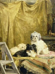 Tres Perros
